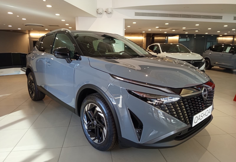 Qashqai Skypack